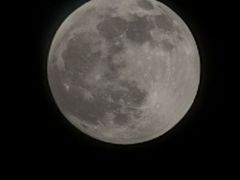 -闽江夜游台江旅游码头