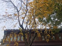 -后海公园