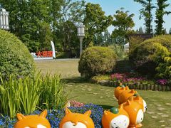 -上海长兴岛郊野公园