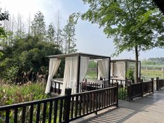 -白鹭湾湿地公园