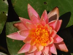 -厦门国家会计学院