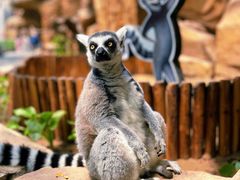 -北京野生动物园