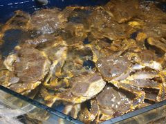 -海景壹号大酒店(滨湖店)