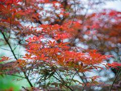 -贵阳市花溪国家城市湿地公园