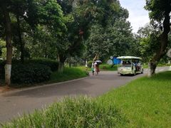 -张坝桂圆林公园