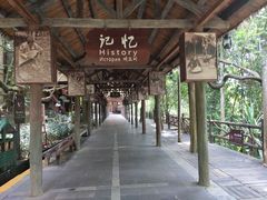 -海南槟榔谷黎苗文化旅游区