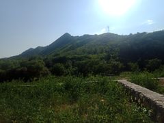 -大岭沟猕猴桃谷风景区