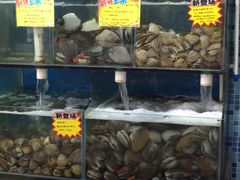 -蚝专家(北滘店)