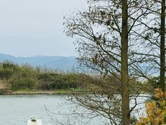 -东钱湖旅游度假区