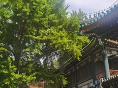-国家图书馆·古籍馆