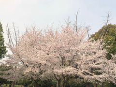 -石湖景区