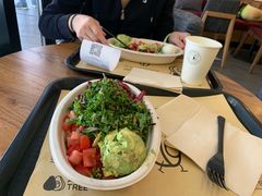 -油梨树 AVOCADO TREE(亮马桥店)