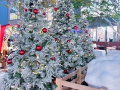 -东莞松山湖万象汇