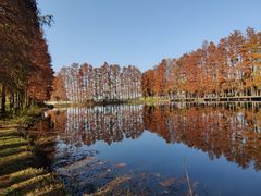 -金银湖国家城市湿地公园