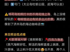 -巧克力渔家.小船海鲜胶东菜(万平口店)