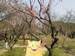 -无锡梅园公园