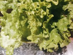 -九田家黑牛烤肉料理(珠江摩尔店)