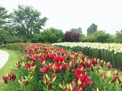 -花开海上生态园