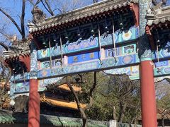 -北京国子监胡同