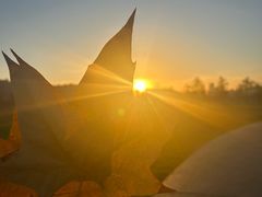 -汉长安城未央宫国家考古遗址公园