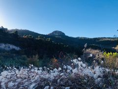 -照金香山旅游景区