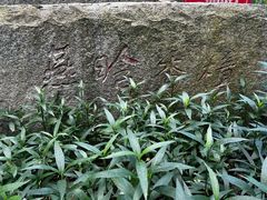 -燕晗山郊野公园