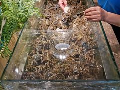 -欢乐牧场海鲜烤肉自助(牡丹园店)