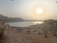 -丁香湖公园