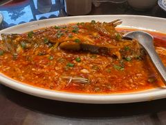 -陈麻婆豆腐总店