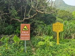 -梧桐山风景名胜区