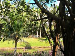 -白沙门生态公园