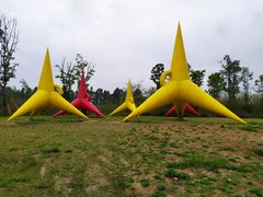 -白鹭湾湿地公园