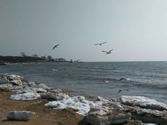 -老虎石海上公园