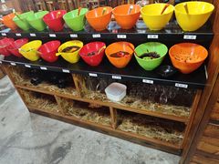 -果松木炭酸菜铜火锅·外婆参鸡汤