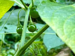 -东天目山风景区