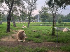 -秦皇岛野生动物园