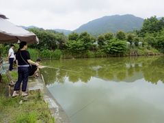 -凤凰谷天澜度假酒店云天阁自助餐