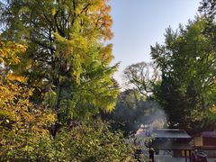 -潭柘寺景区