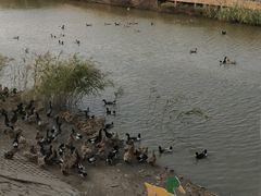 -盘锦红海温泉乐园