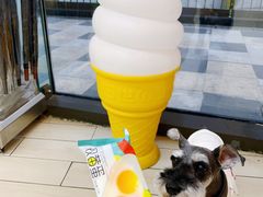 -秦香陕西食府(华贸天地店)