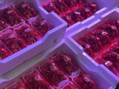 -双福水果批发市场