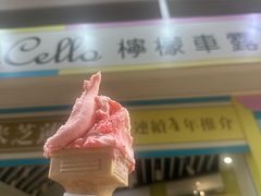 -柠檬车露(卖草地店)