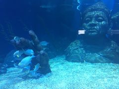 -暹罗海洋世界