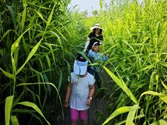 -北京园博大酒店