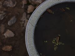 -白鹿洞书院