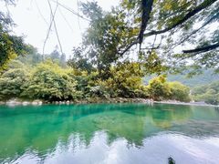 -石台牯牛降景区