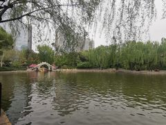 -团结湖公园