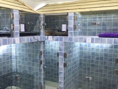 -1013 PET SHOP 宠物商店(近铁城市广场店)