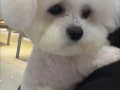 -它主义宠物(梁溪万达店)