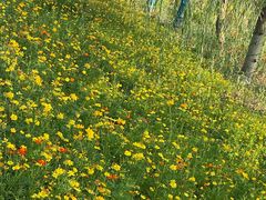 -东钱湖旅游度假区